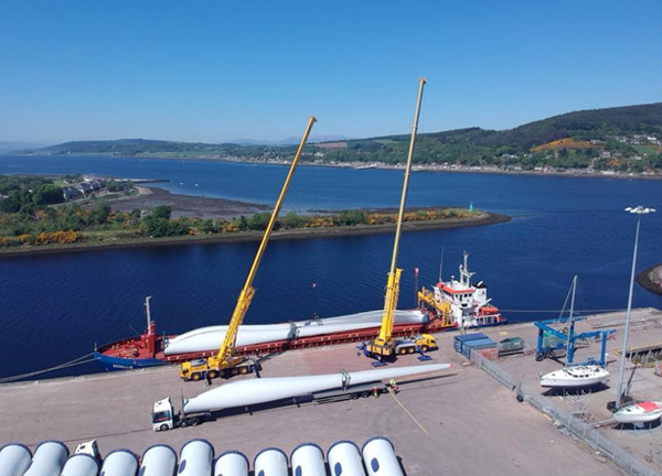 Cranes at the Harbour